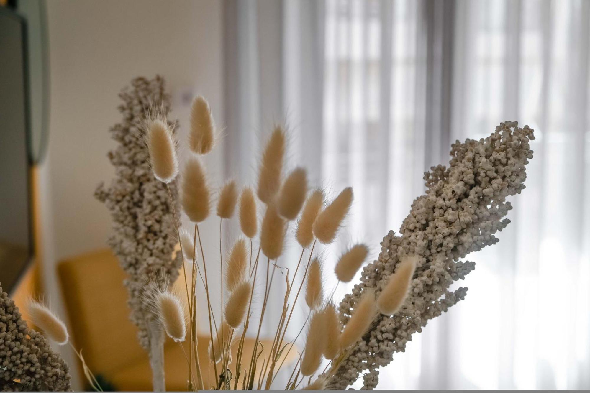 Orsiida Family Apartment Волос Екстериор снимка